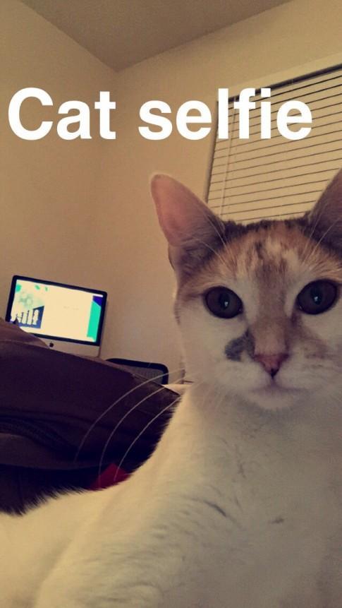 Illustration de l'article : 10 Snapchats that we can&rsquo;t stand! Which ones are the most annoying?