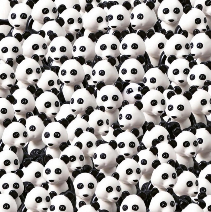 Illustration de l'article : It took me more than 30 seconds to find the dog hidden in the middle of these pandas. What about you?
