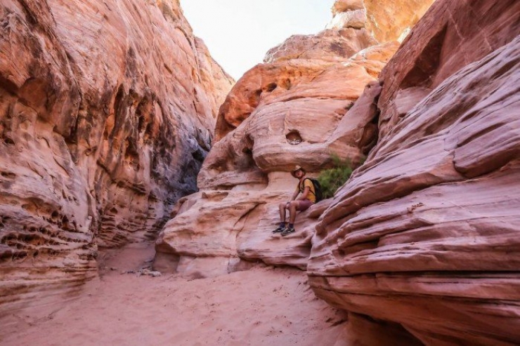 Illustration de l'article : A van and a day... Nothing else was needed for this couple to start a world tour!