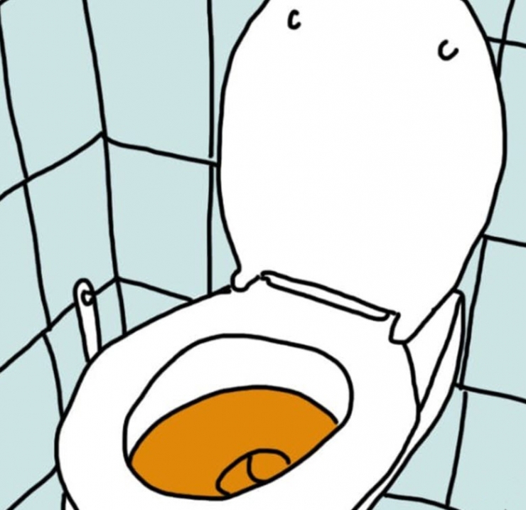 Illustration de l'article : The color of your urine says a lot about your health...Here's what you need to know: