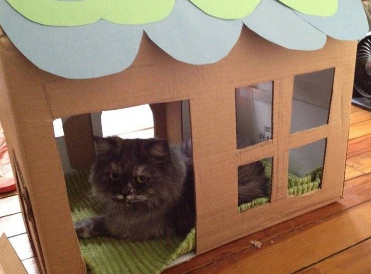 Illustration de l'article : Here are 15 ideas for kids' toys to make with some cardboard boxes... Some genius ideas!