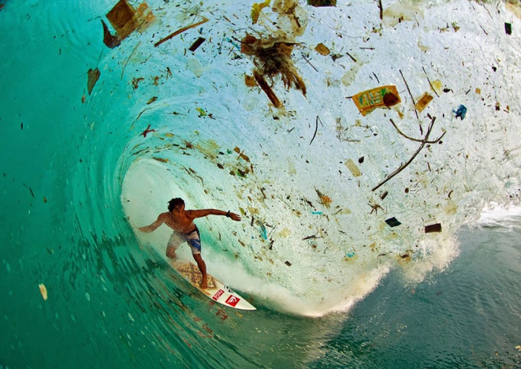 Illustration de l'article : These 22 photos should educate everyone about the environment... Things have to change!