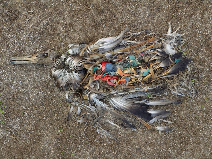Illustration de l'article : These 22 photos should educate everyone about the environment... Things have to change!