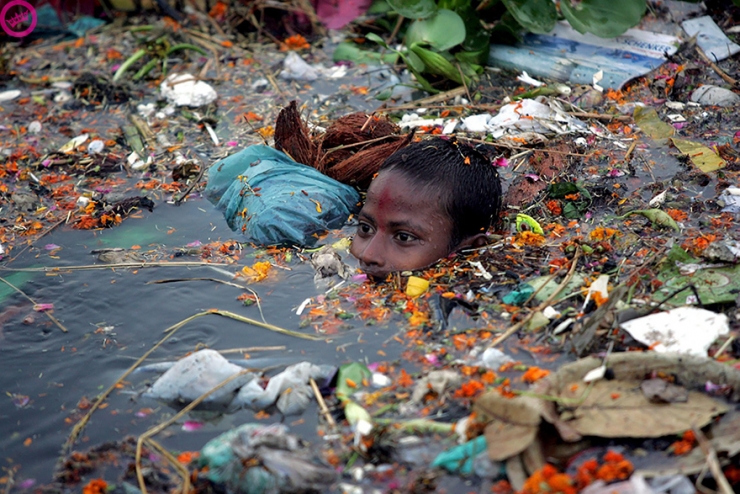 Illustration de l'article : These 22 photos should educate everyone about the environment... Things have to change!