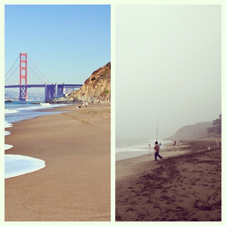 Illustration de l'article : Looks can be deceiving! The proof in 14 photos...