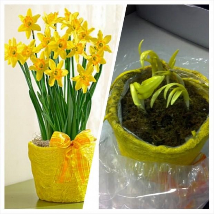 Illustration de l'article : The top 17 products that look like nothing like what we want to buy! False advertising?