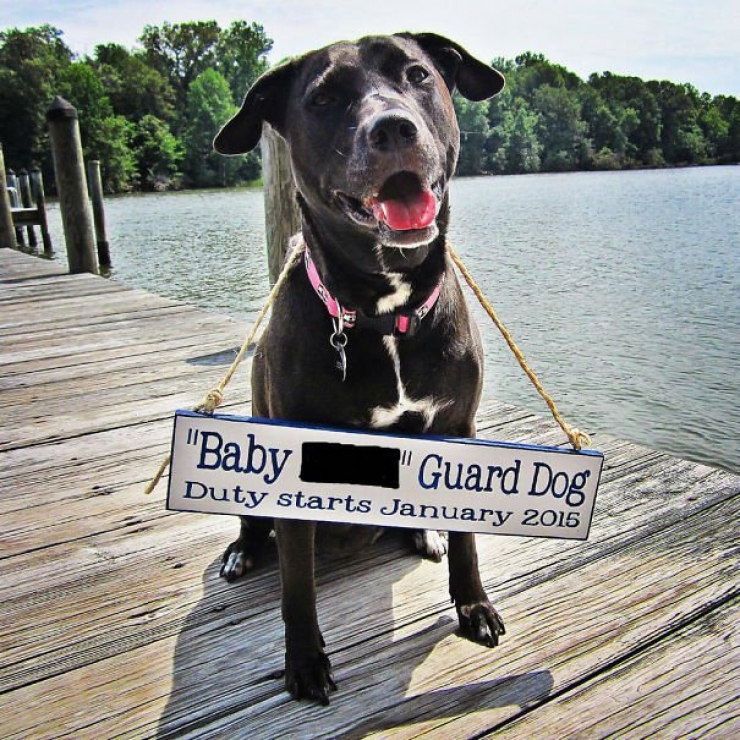 Illustration de l'article : Tip: Here are 22 original ways to announce your pregnancy!