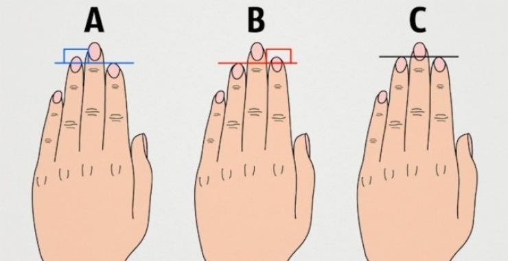 Illustration de l'article : A, B, or C? Look at what they say about the length of your fingers and let us know if it’s true or not!