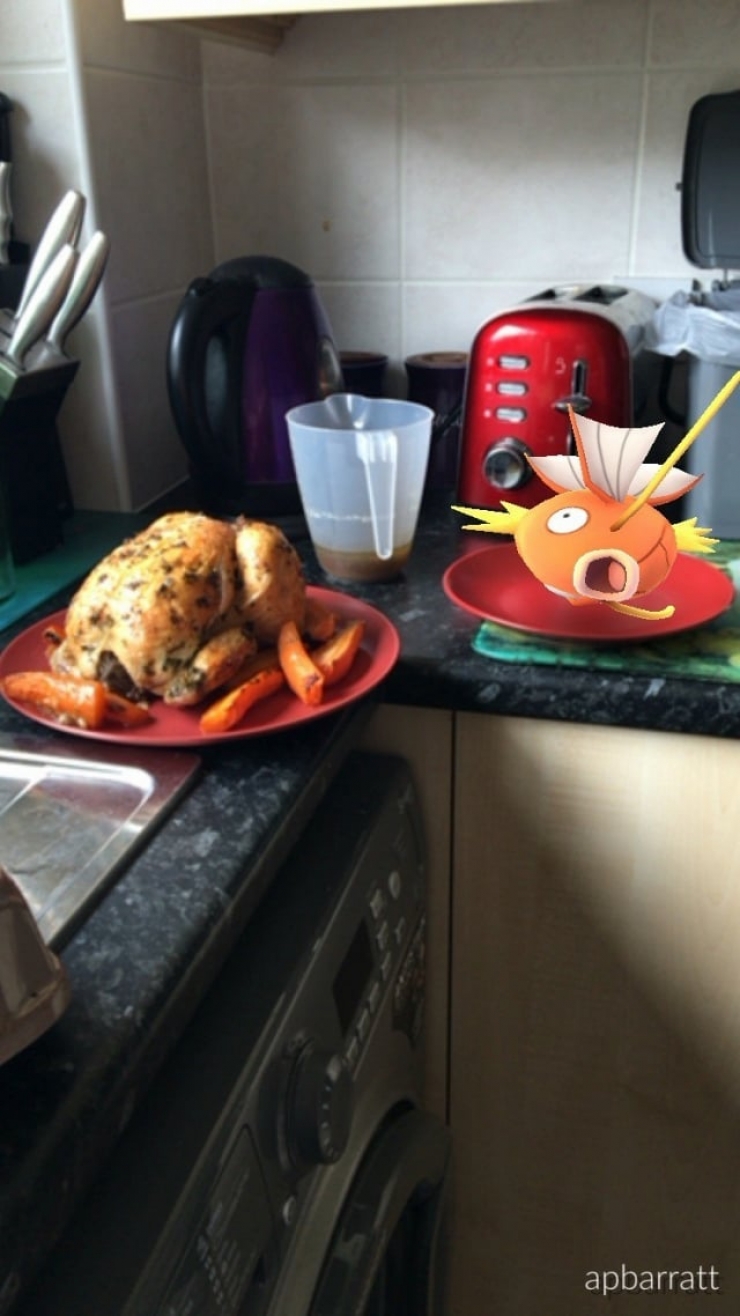 Illustration de l'article : Top 25 screenshots of Pok&eacute;mon Go taken at the perfect time!