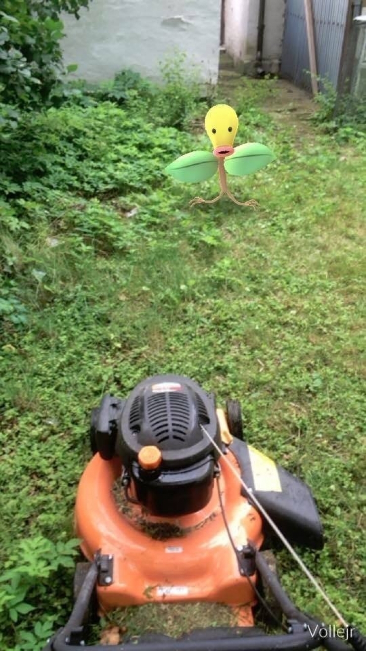 Illustration de l'article : Top 25 screenshots of Pokémon Go taken at the perfect time!