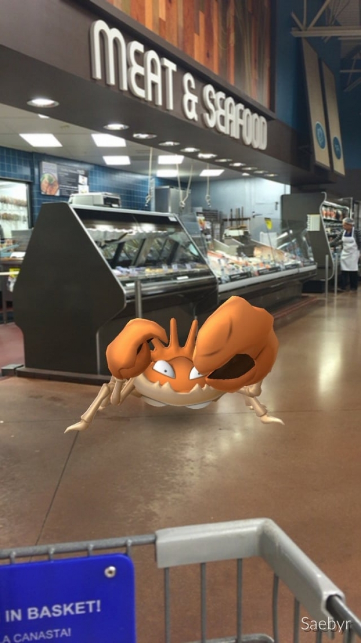 Illustration de l'article : Top 25 screenshots of Pokémon Go taken at the perfect time!