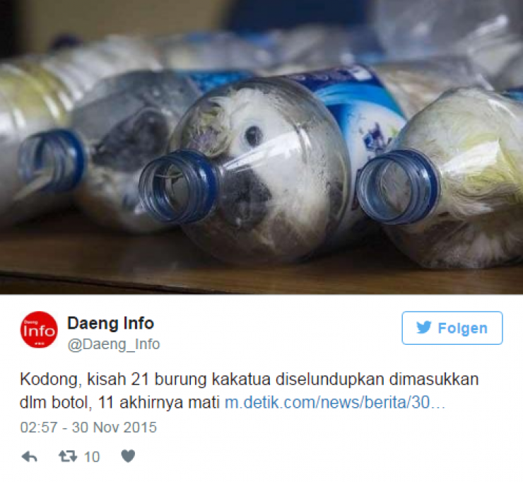 Illustration de l'article : Customs officers were puzzled when they heard noises coming from these bottles... seeing eyes inside, they quickly grabbed their scissors!