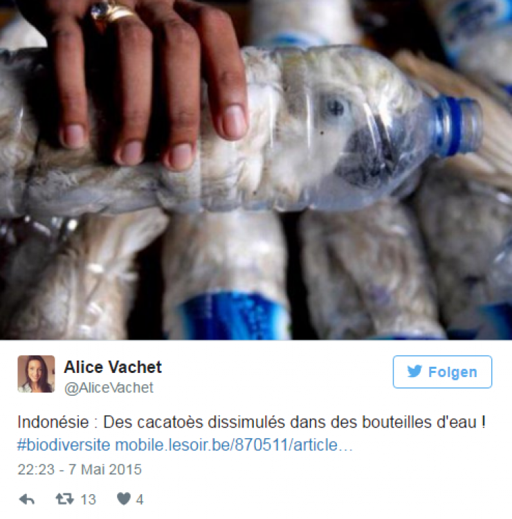 Illustration de l'article : Customs officers were puzzled when they heard noises coming from these bottles... seeing eyes inside, they quickly grabbed their scissors!