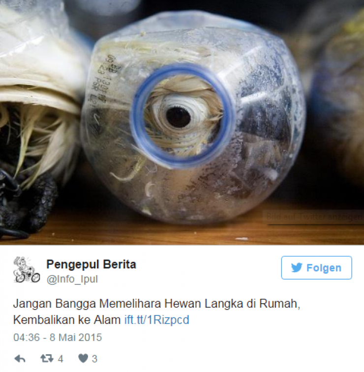 Illustration de l'article : Customs officers were puzzled when they heard noises coming from these bottles... seeing eyes inside, they quickly grabbed their scissors!
