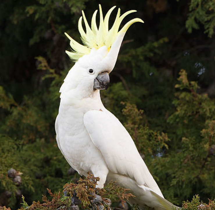 Illustration de l'article : Customs officers were puzzled when they heard noises coming from these bottles... seeing eyes inside, they quickly grabbed their scissors!