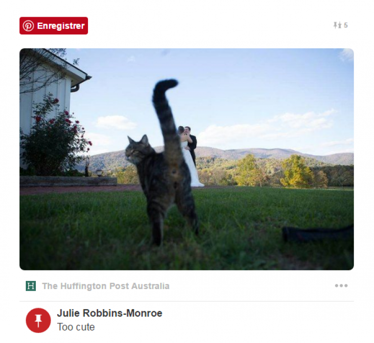 Illustration de l'article : The people who put themselves in your wedding pictures and go too far... 16 hilarious pictures!