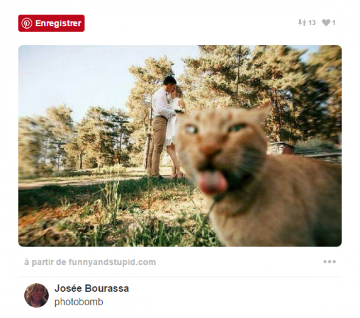 Illustration de l'article : The people who put themselves in your wedding pictures and go too far... 16 hilarious pictures!