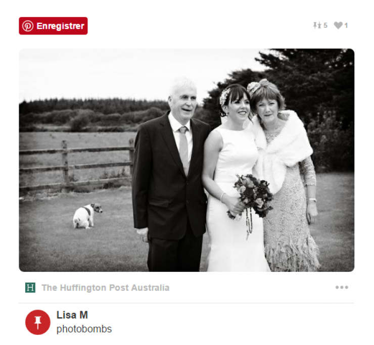 Illustration de l'article : The people who put themselves in your wedding pictures and go too far... 16 hilarious pictures!