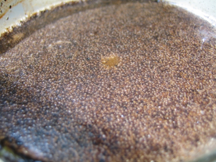 Illustration de l'article : What she smears on her bottom, we all have at home &ndash; but no one uses it!