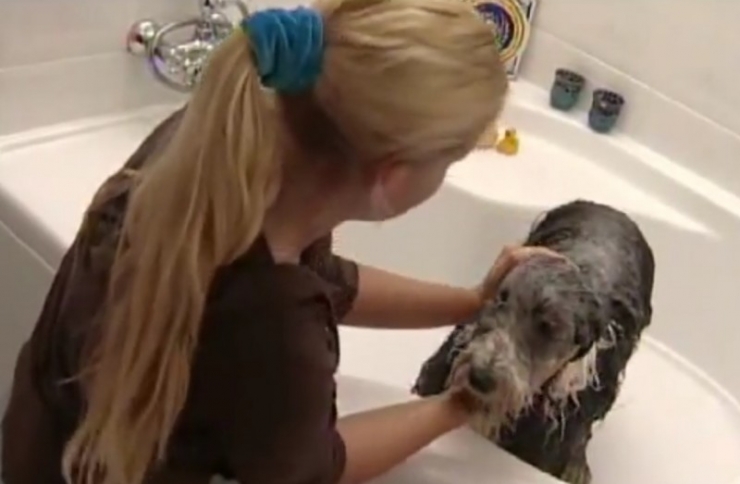 Illustration de l'article : What she smears on her bottom, we all have at home &ndash; but no one uses it!