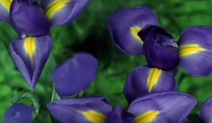 Illustration de l'article : What she smears on her bottom, we all have at home &ndash; but no one uses it!