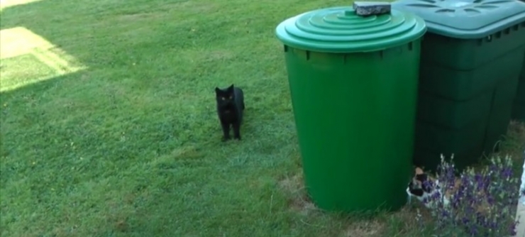 Illustration de l'article : What she smears on her bottom, we all have at home &ndash; but no one uses it!