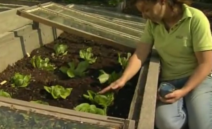 Illustration de l'article : What she smears on her bottom, we all have at home &ndash; but no one uses it!