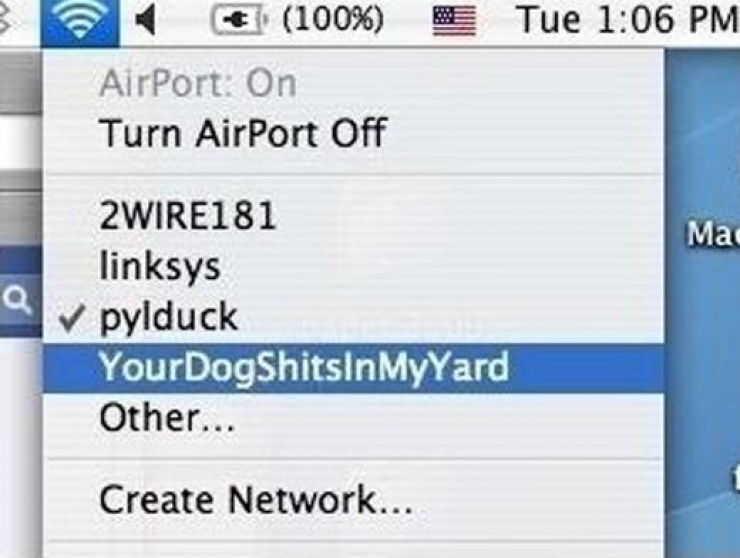 Illustration de l'article : When the WiFi name becomes a massive weapon of war between neighbors... 22 photos !