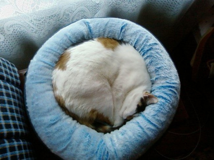 Illustration de l'article : Are you a little OCD? These 17 pictures should satisfy you!