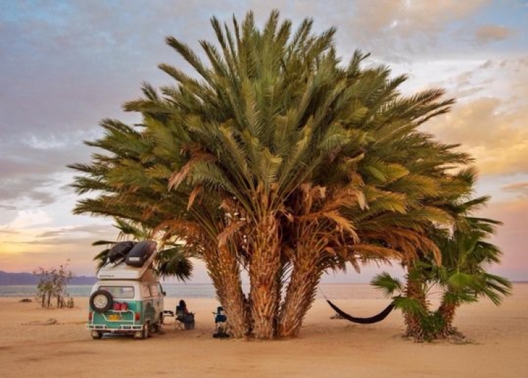 Illustration de l'article : These 5 couples dropped everything to go road tripping in just a van... Some pictures that will make you want to do the same!