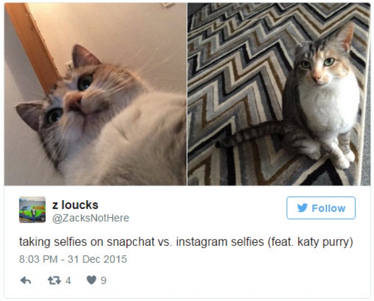 Illustration de l'article : Differences between the photos posted on Instagram and Snapchat!