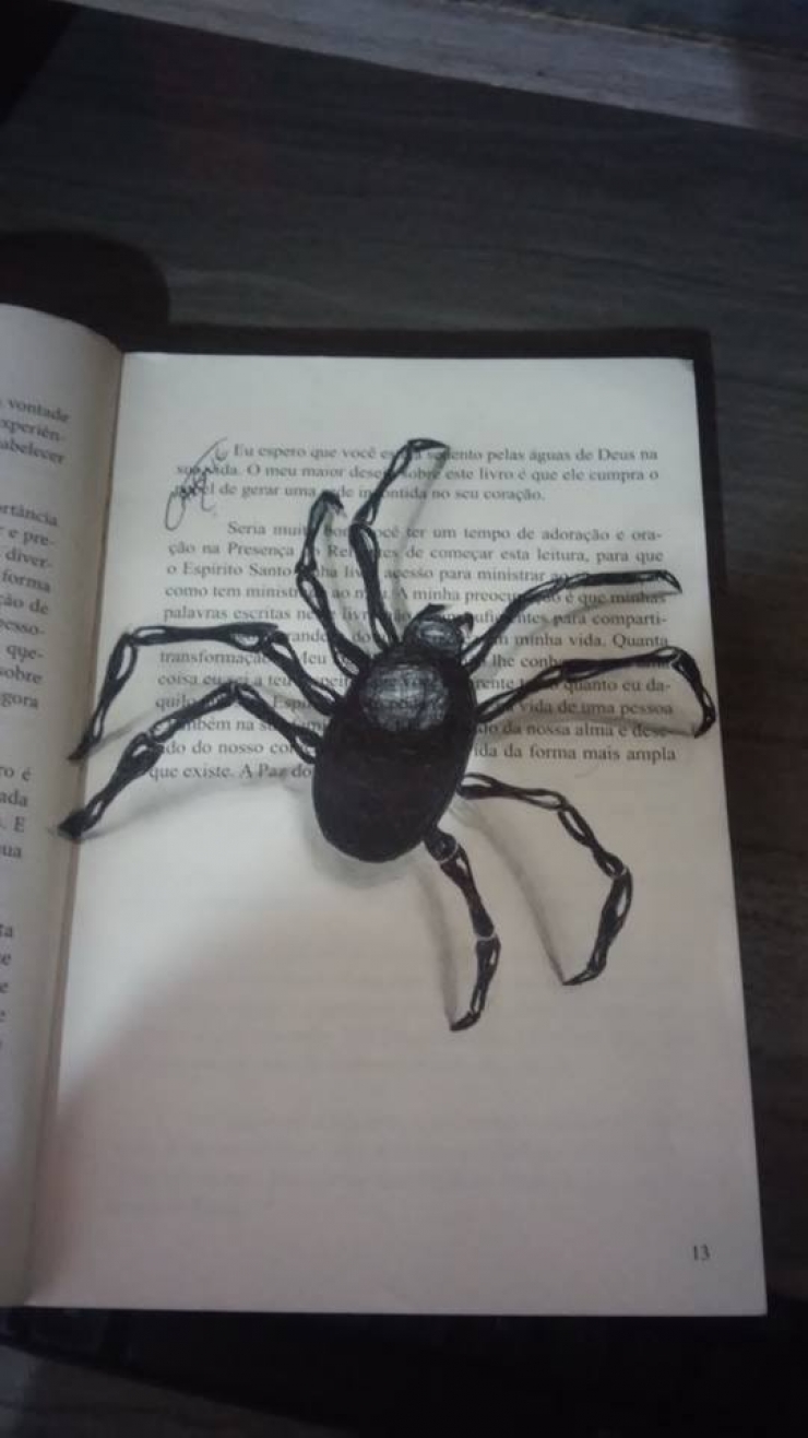 Illustration de l'article : This artist is only 16, yet he masters 3D drawings with impressive ease...