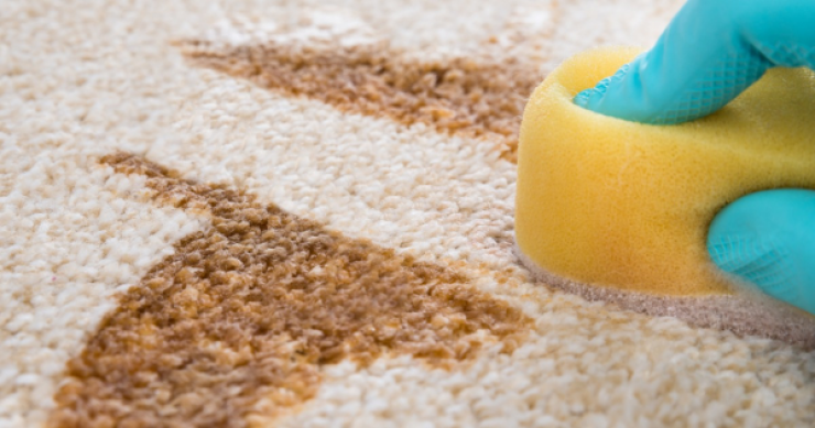 Illustration de l'article : Do you know these 18 tricks you can do with toothpaste? The tip for mosquito bites is nice to know...