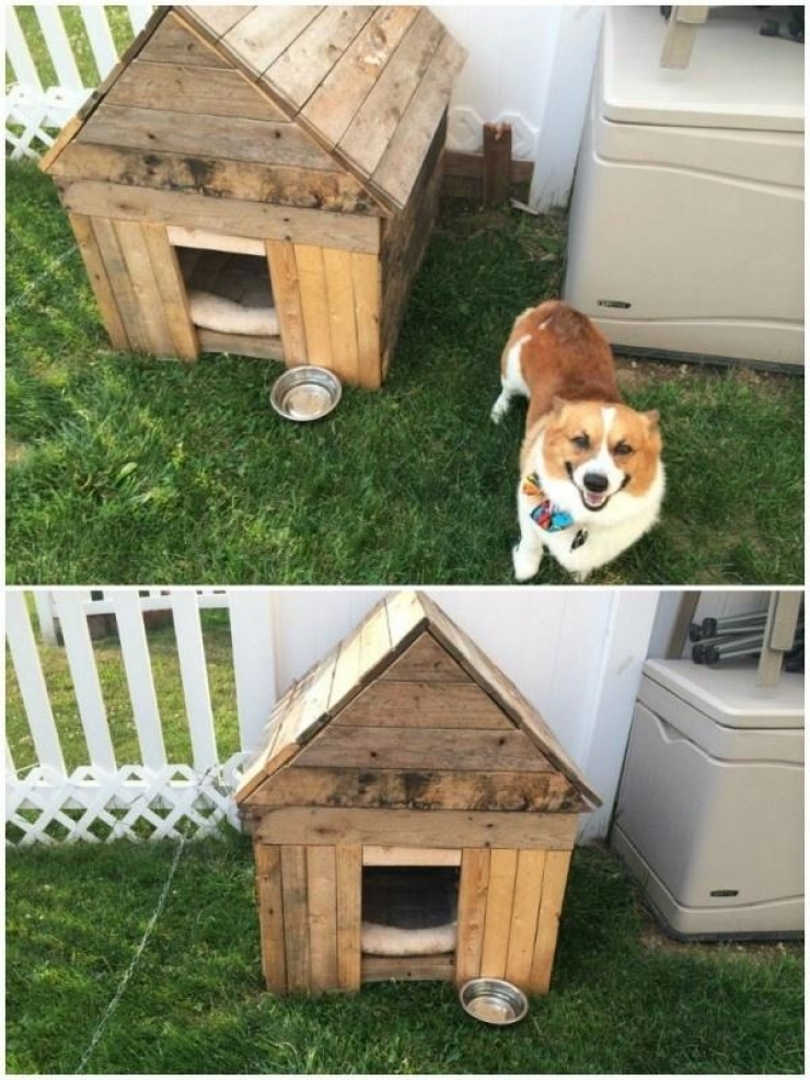 Illustration de l'article : This dirty pallet doesn’t look like much, but when you see this, you’ll want to do it for yourself!