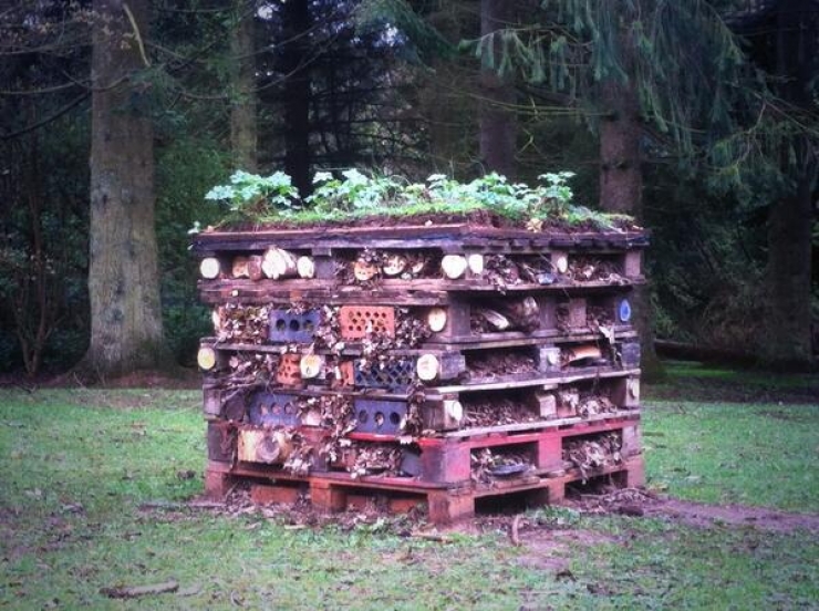 Illustration de l'article : This dirty pallet doesn’t look like much, but when you see this, you’ll want to do it for yourself!