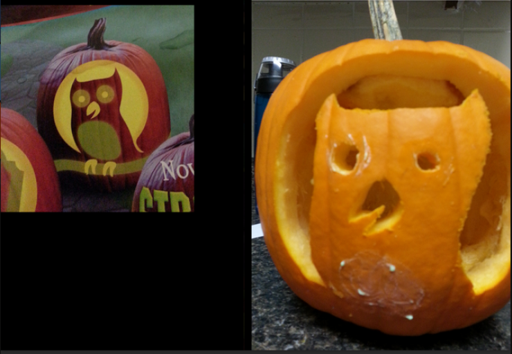 Illustration de l'article : Expectation vs. reality: when nothing goes as planned&hellip; Beware of scams!