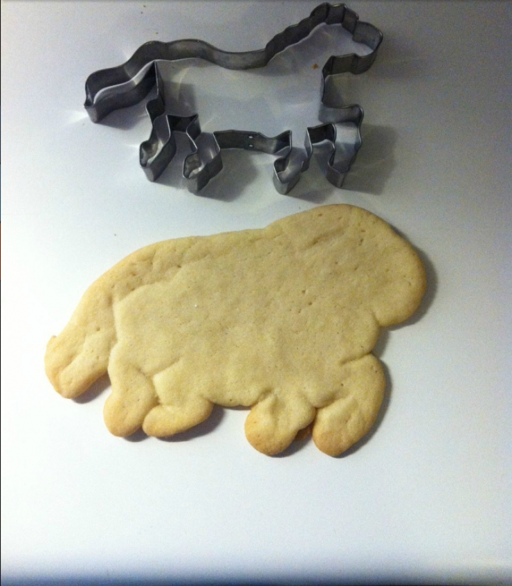 Illustration de l'article : Expectation vs. reality: when nothing goes as planned&hellip; Beware of scams!