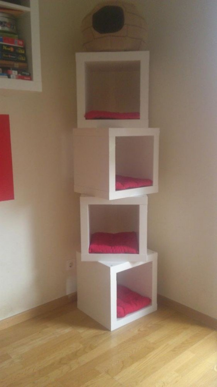 Illustration de l'article : It's crazy, all the things you can do with a simple IKEA shelf...