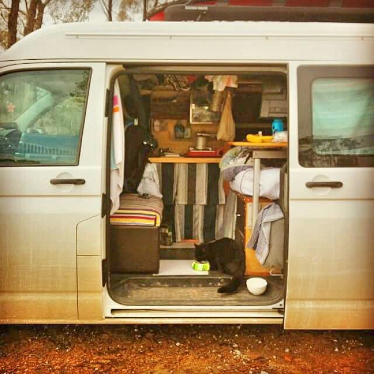 Illustration de l'article : This guy ditched EVERYTHING to travel around Australia in a van... with his cat!