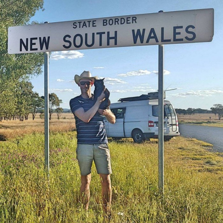 Illustration de l'article : This guy ditched EVERYTHING to travel around Australia in a van... with his cat!