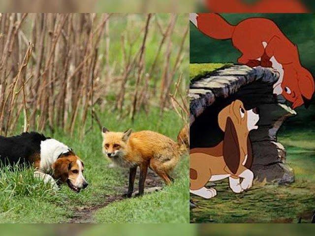 Illustration de l'article : 11 disturbing pictures that prove that Disney characters exist in real life!