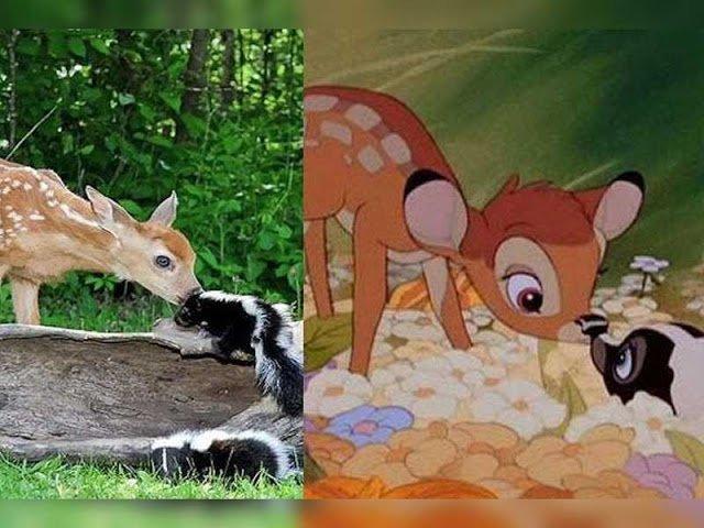 Illustration de l'article : 11 disturbing pictures that prove that Disney characters exist in real life!