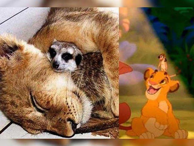 Illustration de l'article : 11 disturbing pictures that prove that Disney characters exist in real life!