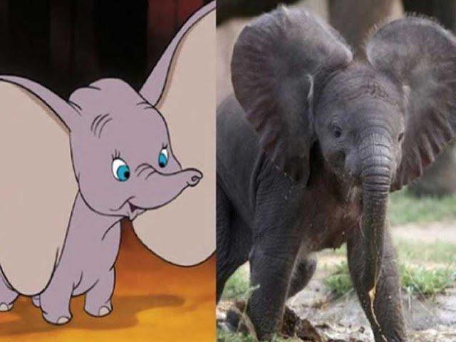 Illustration de l'article : 11 disturbing pictures that prove that Disney characters exist in real life!
