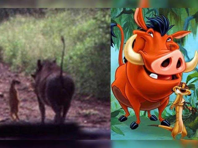 Illustration de l'article : 11 disturbing pictures that prove that Disney characters exist in real life!