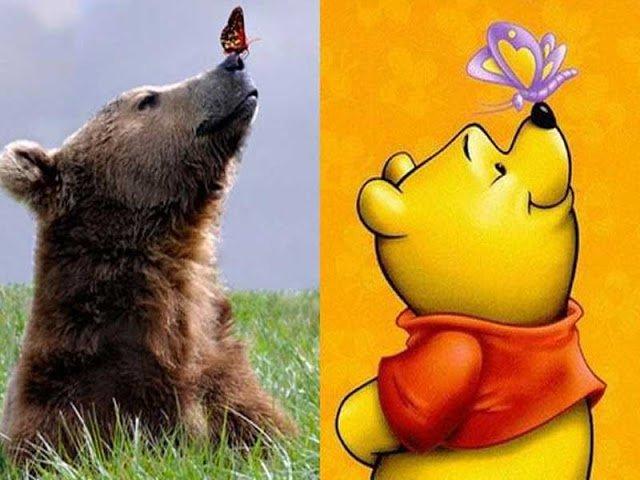 Illustration de l'article : 11 disturbing pictures that prove that Disney characters exist in real life!