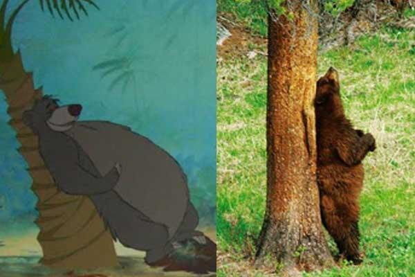 Illustration de l'article : 11 disturbing pictures that prove that Disney characters exist in real life!