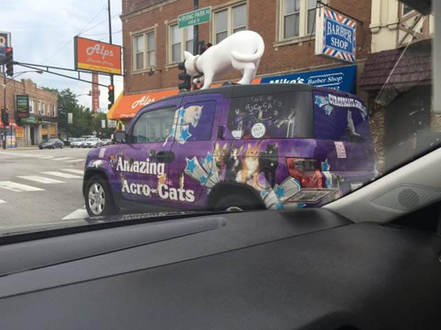 Illustration de l'article : The 30 craziest cars in the world!