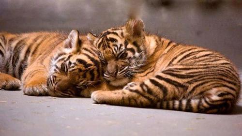 Illustration de l'article : 15 mysteries about dreams finally revealed!