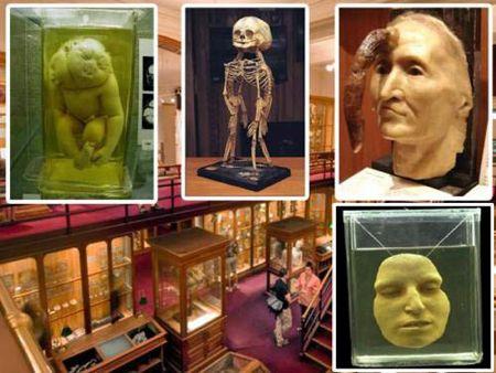Illustration de l'article : A ranking of the 9 scariest museums in the world! Welcome to the galleries of horror!